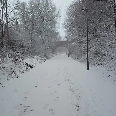 Le Logis Du Plateau ゲストハウス